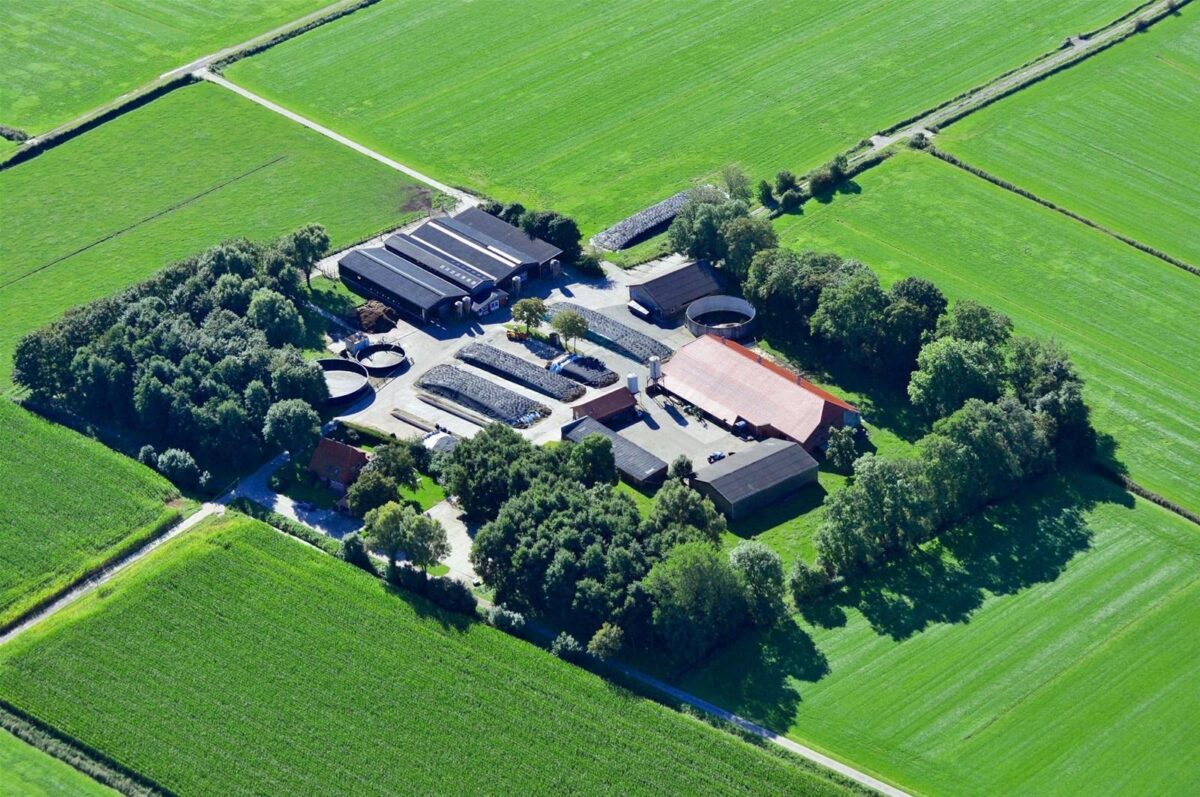 melkveehouderij-sarver-str.-39