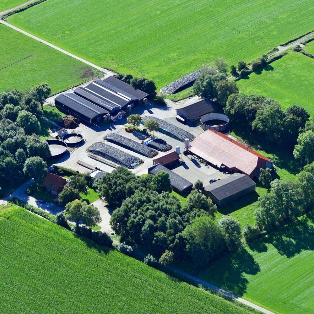 melkveehouderij-sarver-str.-39